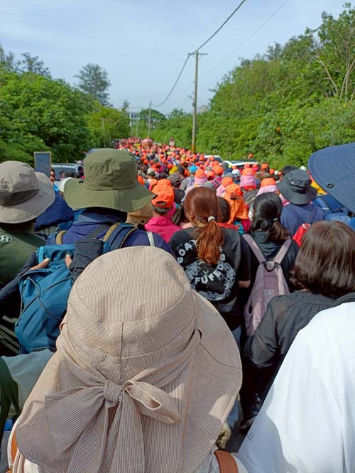 白沙屯媽祖 白沙屯媽祖